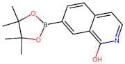 1-Hydroxyisoquinoline-7-boronic acid pinacal ester
