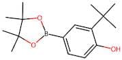 2-tert-Butyl-4-(4,4,5,5-tetramethyl-1,3,2-dioxaborolan-2-yl)phenol