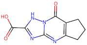 8-Oxo-5,6,7,8-tetrahydro-1H-cyclopenta[d][1,2,4]triazolo[1,5-a]pyrimidine-2-carboxylic acid
