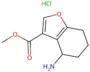 Methyl4-amino-4,5,6,7-tetrahydrobenzofuran-3-carboxylatehydrochloride