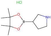 3-(4,4,5,5-tetramethyl-1,3,2-dioxaborolan-2-yl)pyrrolidine hydrochloride