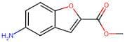 methyl 5-aminobenzofuran-2-carboxylate