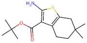 tert-Butyl 2-amino-6,6-dimethyl-4,5,6,7-tetrahydrobenzo[b]thiophene-3-carboxylate