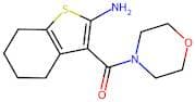 (2-Amino-4,5,6,7-tetrahydrobenzo[b]thiophen-3-yl)(morpholino)methanone