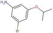 3-Bromo-5-isopropoxyaniline