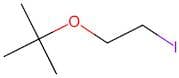 2-(2-Iodoethoxy)-2-methylpropane