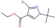 Ethyl 3-bromo-1-(tert-butyl)-1H-pyrazole-4-carboxylate