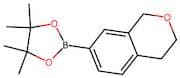 2-(Isochroman-7-yl)-4,4,5,5-tetramethyl-1,3,2-dioxaborolane