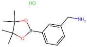 3-(Aminomethyl)benzeneboronic acid, pinacol ester hydrochloride