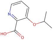 3-Isopropoxypicolinic acid