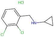 N-(2,3-dichlorobenzyl)cyclopropanamine (Hydrochloride)