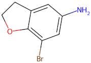 7-Bromo-2,3-dihydrobenzofuran-5-amine