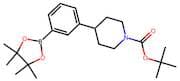Tert-butyl 4-(3-(4,4,5,5-tetramethyl-1,3,2-dioxaborolan-2-yl)phenyl)piperidine-1-carboxylate