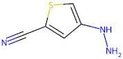 4-Hydrazinyl-2-thiophenecarbonitrile