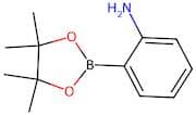 2-(Aminophenyl)boronic acid, pinacol ester