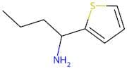 1-(Thiophen-2-yl)butan-1-amine
