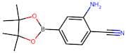 2-Amino-4-(tetramethyl-1,3,2-dioxaborolan-2-yl)benzonitrile