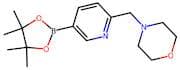 6-(Morpholinomethyl)pyridine-3-boronic Acid Pinacol Ester