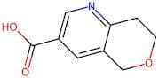 7,8-Dihydro-5H-pyrano[4,3-b]pyridine-3-carboxylic acid
