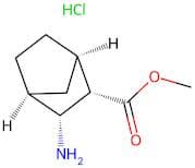 Methyl (1R,2S,3R,4S)-3-aminobicyclo[2.2.1]heptane-2-carboxylate hydrochloride