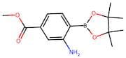 methyl 3-amino-4-(tetramethyl-1,3,2-dioxaborolan-2-yl)benzoate