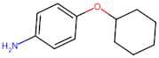 4-(Cyclohexyloxy)aniline