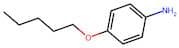 4-(Pentyloxy)aniline