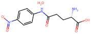 L-γ-Glutamyl-p-nitroanilide (hydrate)