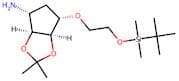 (3aS,4R,6S,6aR)-6-(2-((tert-butyldimethylsilyl)oxy)ethoxy)-2,2-dimethyltetrahydro-3aH-cyclopenta[d…