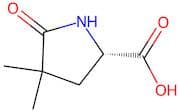 (S)-4,4-dimethyl-5-oxopyrrolidine-2-carboxylic acid