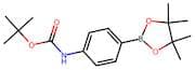 4-Aminobenzeneboronic acid, pinacol ester, N-BOC protected