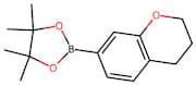 2-(Chroman-7-yl)-4,4,5,5-tetramethyl-1,3,2-dioxaborolane