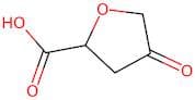 4-Oxotetrahydrofuran-2-carboxylic acid