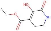 ethyl 5-hydroxy-6-oxo-2,3-dihydro-1H-pyridine-4-carboxylate