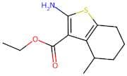 Ethyl 2-amino-4-methyl-4,5,6,7-tetrahydro-1-benzothiophene-3-carboxylate