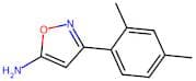 3-(2,4-Dimethylphenyl)-1,2-oxazol-5-amine