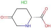 (R)-5-oxopiperidine-2-carboxylic acid hydrochloride
