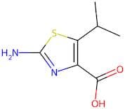 2-Amino-5-(propan-2-yl)-1,3-thiazole-4-carboxylic acid