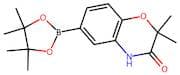 2,2-Dimethyl-6-(4,4,5,5-tetramethyl-1,3,2-dioxaborolan-2-yl)-2H-benzo[b][1,4]oxazin-3(4H)-one