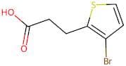 3-(3-Bromothiophen-2-yl)propanoic acid