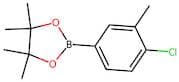2-(4-Chloro-3-methylphenyl)-4,4,5,5-tetramethyl-1,3,2-dioxaborolane