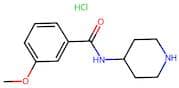 3-Methoxy-n-(piperidin-4-yl)benzamide hydrochloride