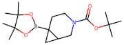 tert-Butyl 6-(4,4,5,5-tetramethyl-1,3,2-dioxaborolan-2-yl)-3-azabicyclo[4.1.0]heptane-3-carboxylate