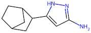 5-(bicyclo[2.2.1]heptan-2-yl)-1H-pyrazol-3-amine