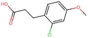 3-(2-Chloro-4-methoxyphenyl)propanoic acid