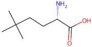 (S)-2-Amino-5,5-dimethylhexanoic acid