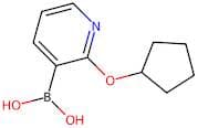 2-(Cyclopentyloxy)pyridine-3-boronic acid