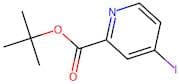 tert-Butyl 4-iodopicolinate