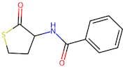 N-(2-oxotetrahydrothiophen-3-yl)benzamide