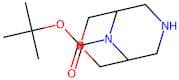 tert-Butyl 3-oxa-7,9-diazabicyclo[3.3.1]nonane-9-carboxylate